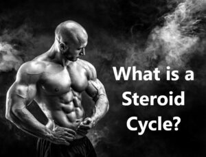 What is a Steroid Cycle