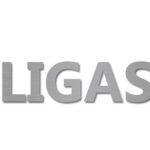 Beligas Pharmaceuticals