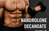 Nandrolone Decanoate Cycle