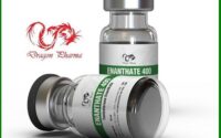 Dragon Pharma Test E 400