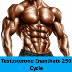 Testosterone Enanthate 250 Cycle